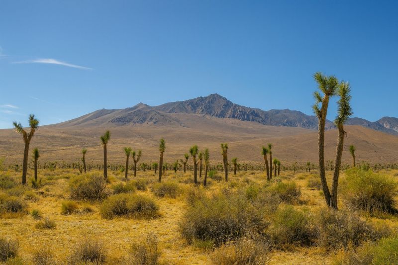 Best Bathroom Remodeling pros in Joshua Tree, CA